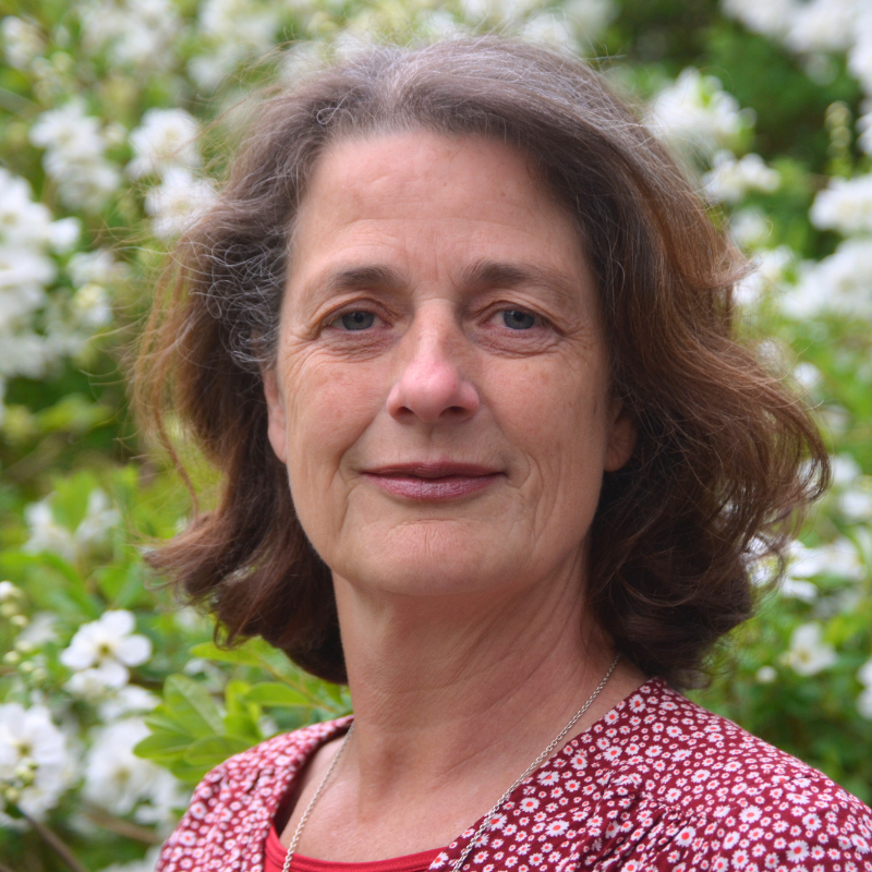 Hanneke Sloof, Clarity Proces Trainer in Amsterdam